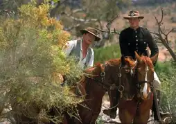 Watch and Download Rabbit-Proof Fence 10