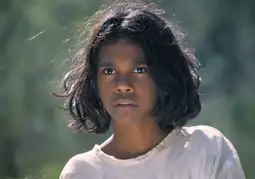 Watch and Download Rabbit-Proof Fence 14