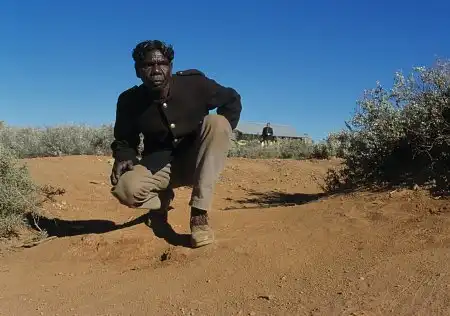 Watch and Download Rabbit-Proof Fence 16