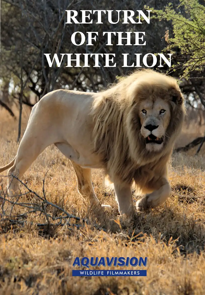 Watch and Download Return of the White Lion 1