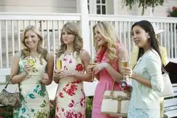 Watch and Download Revenge of the Bridesmaids 14