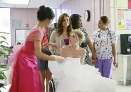 Watch and Download Revenge of the Bridesmaids 8