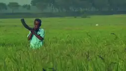 Watch and Download Rice and Pray 2