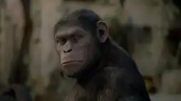 Watch and Download Rise of the Planet of the Apes 10