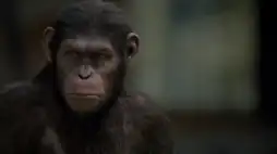 Watch and Download Rise of the Planet of the Apes 11