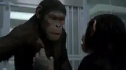 Watch and Download Rise of the Planet of the Apes 13