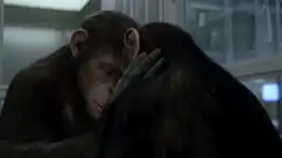 Watch and Download Rise of the Planet of the Apes 7