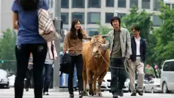 Watch and Download Rolling Home with a Bull 3