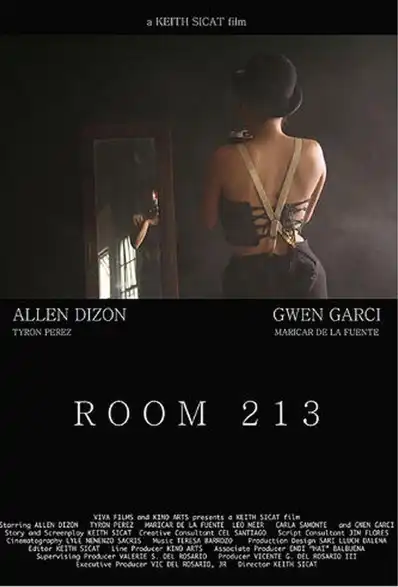 Watch and Download Room 213 1