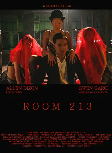 Watch and Download Room 213 2