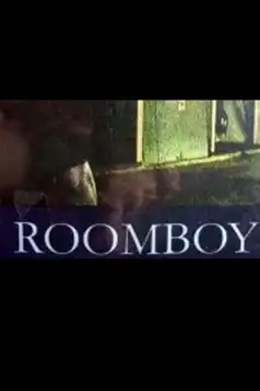 Watch and Download Room Boy