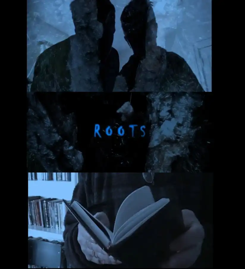 Watch and Download Roots 13