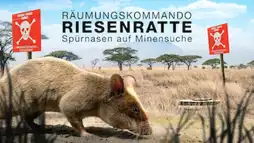 Watch and Download Räumkommando Riesenratte - Spürnasen auf Minensuche 2