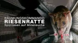 Watch and Download Räumkommando Riesenratte - Spürnasen auf Minensuche 3