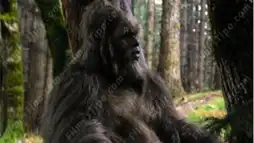 Watch and Download Sasquatch 1