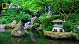 Watch and Download Satoyama II: Japan's Secret Watergarden 2