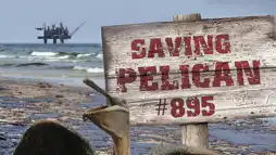 Watch and Download Saving Pelican 895 1