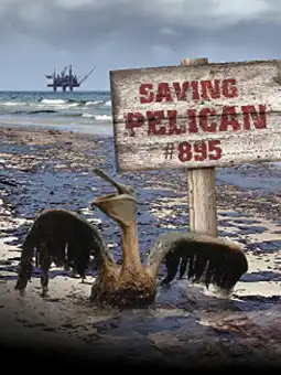 Watch and Download Saving Pelican 895 2