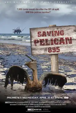 Watch and Download Saving Pelican 895 3