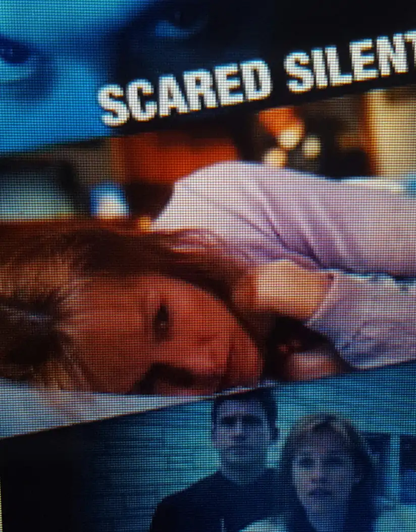 Watch and Download Scared Silent 4