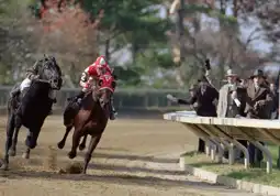 Watch and Download Seabiscuit 13