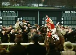 Watch and Download Seabiscuit 7