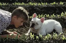 Watch and Download Secondhand Lions 7