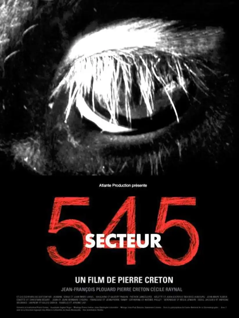 Watch and Download Secteur 545 1