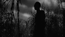 Watch and Download Shadows in the Dark: The Val Lewton Legacy 2