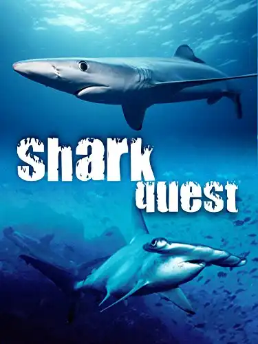 Watch and Download Shark Quest 2