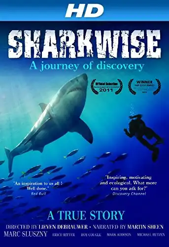 Watch and Download Sharkwise 2