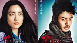 Watch and Download Shinobi: Heart Under Blade 2