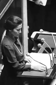 Watch and Download Simone Veil, une loi au nom des femmes