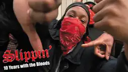 Watch and Download Slippin': Ten Years with the Bloods 1