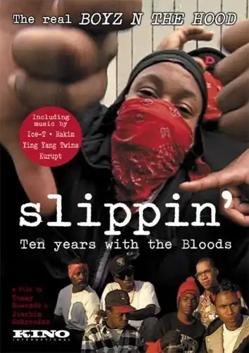 Watch and Download Slippin': Ten Years with the Bloods 4