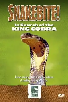 Watch and Download Snake Bite: In Search of the King Cobra