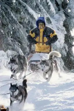 Watch and Download Snow Dogs 6