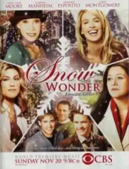 Watch and Download Snow Wonder 2