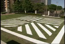 Watch and Download Sol LeWitt: 4 Decades 4