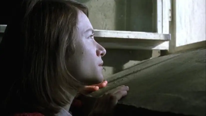 Watch and Download Sophie Scholl: The Final Days 16