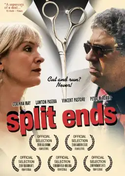 Watch and Download Split Ends 2