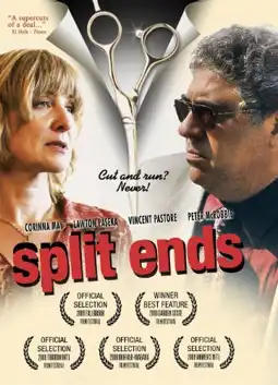 Watch and Download Split Ends 3