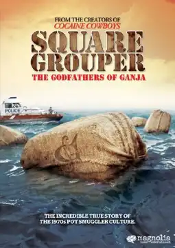 Watch and Download Square Grouper 2