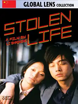 Watch and Download Stolen Life 2