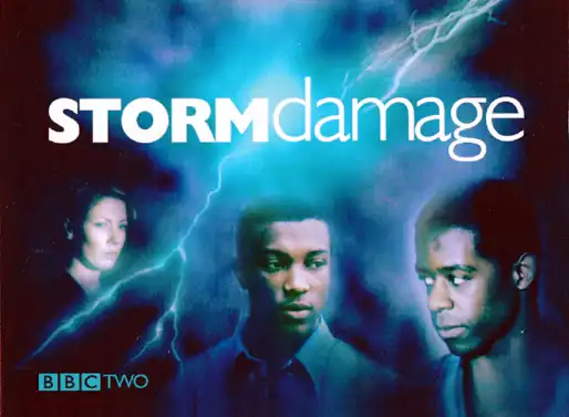 Watch and Download Storm Damage 1