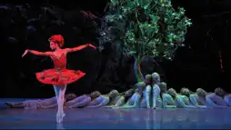 Watch and Download Stravinsky and the Ballets Russes: The Firebird / The Rite of Spring 2