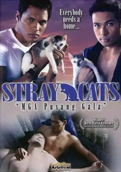 Watch and Download Stray Cats 11