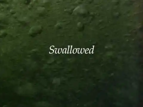 Watch and Download Swallowed 1