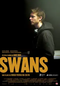 Watch and Download Swans