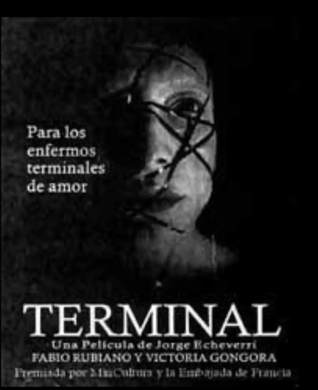 Watch and Download Terminal 2